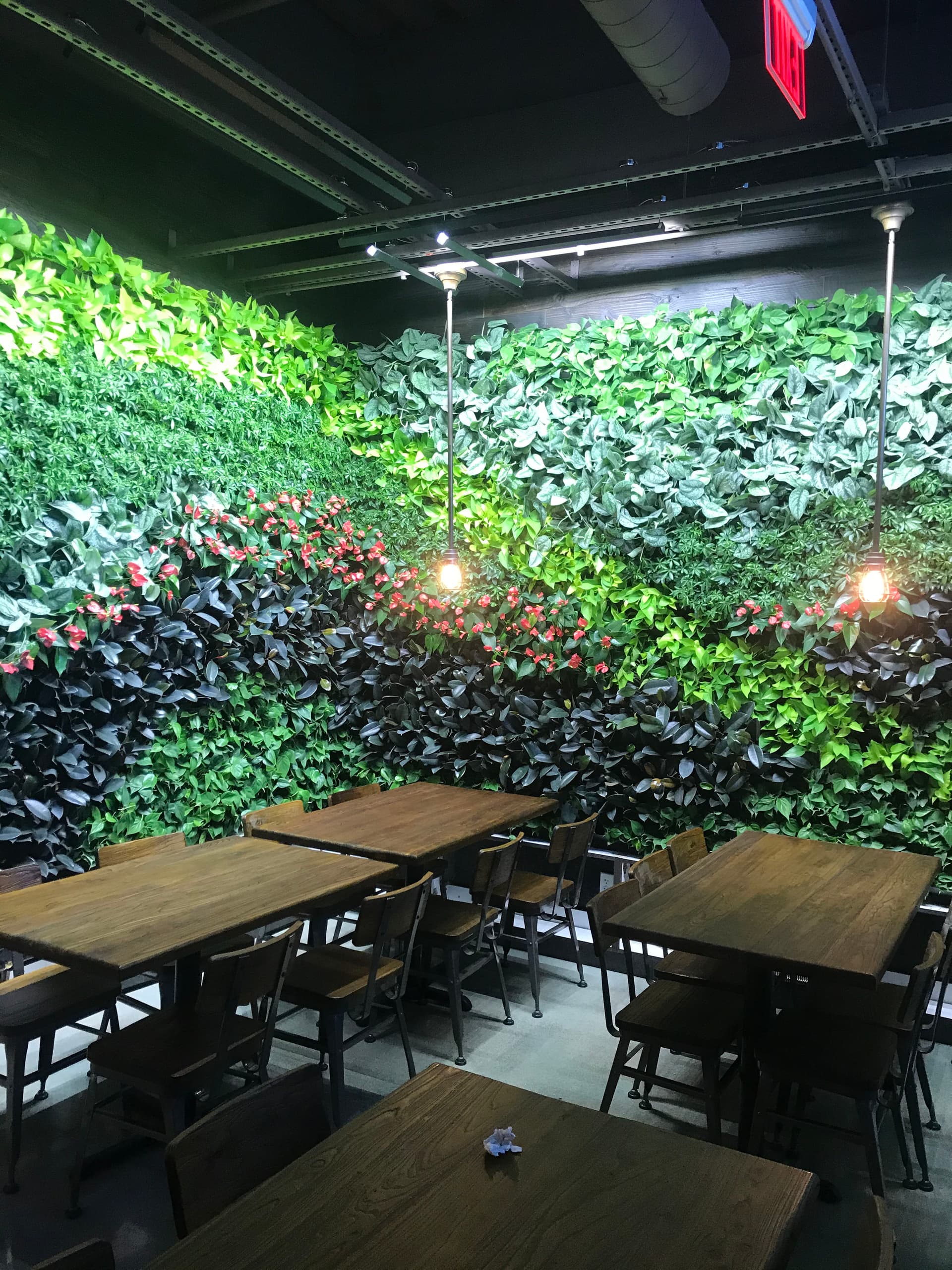 Gallery photos for Full Electrical and Lighting Installation for a Commercial Building: Image #2