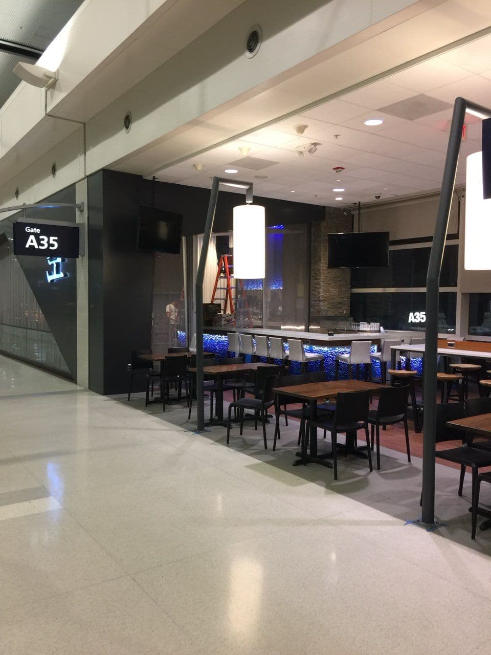 Enhancing Metro Detroit Airport Terminal Lighting image