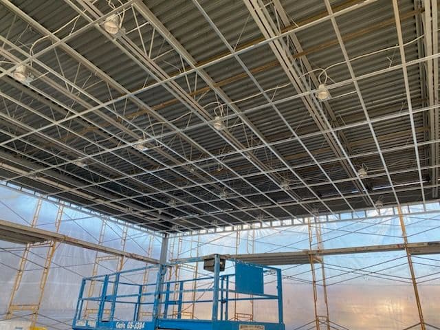 Lighting Installation Elevates New Venue image