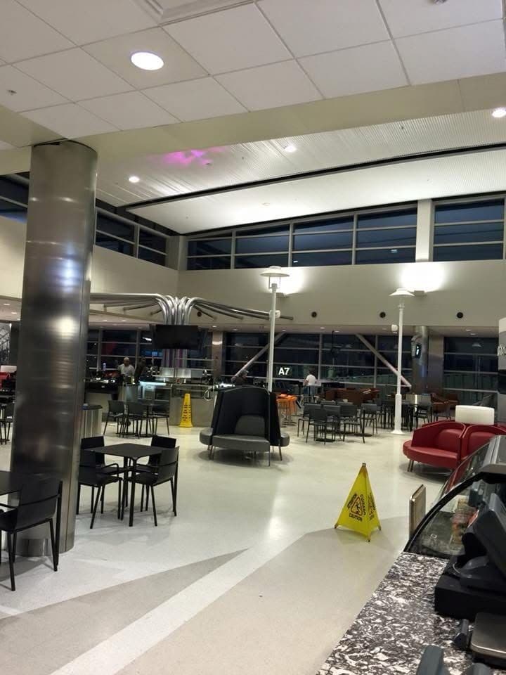 Gallery photos for Elegant Lighting Installation at Detroit Metro Airport: Image #2